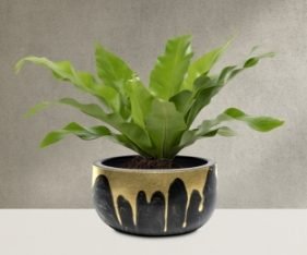 Viksberg planter - Image 3