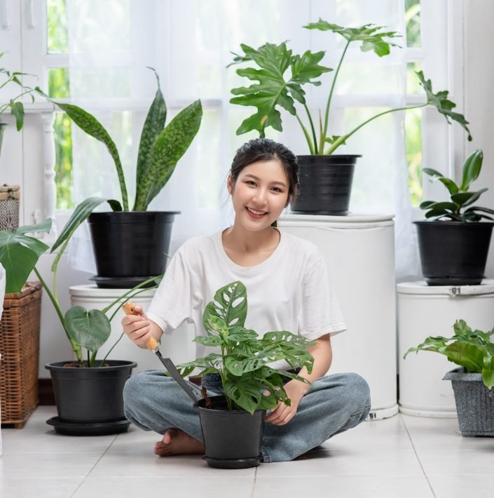 Viksberg planter - Image 2