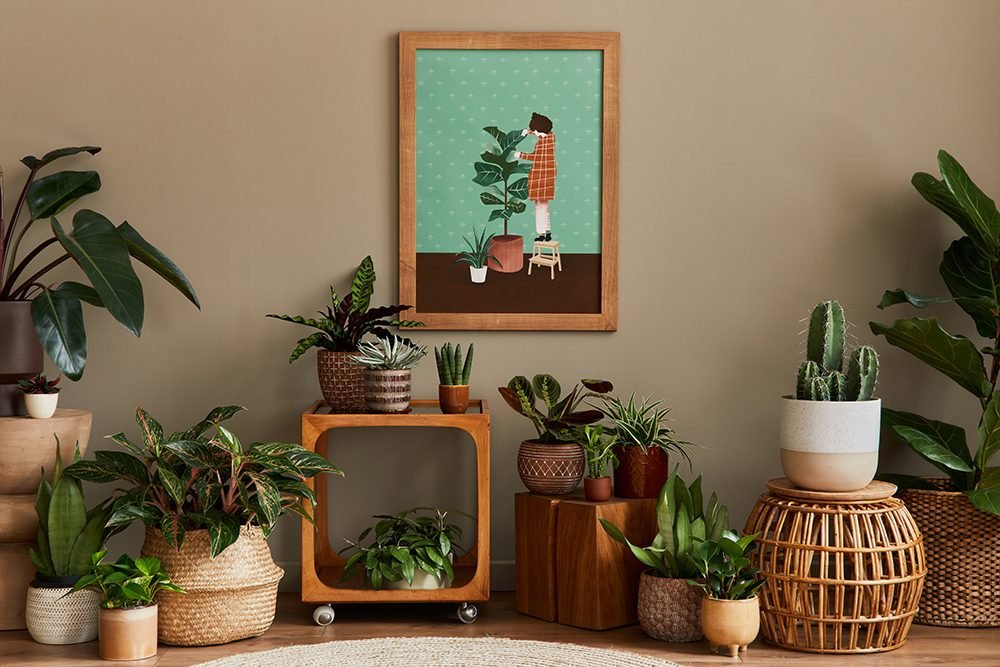 25 Tips for plant