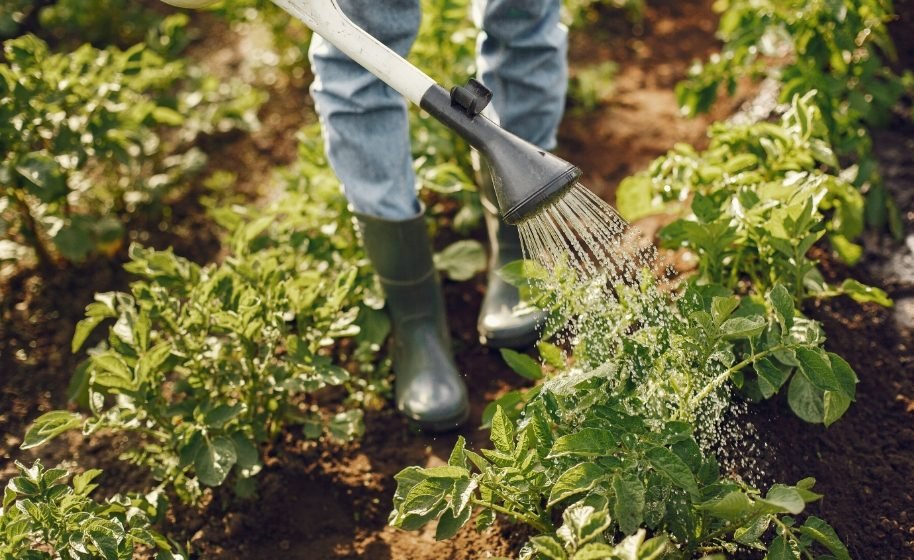 Organic farm