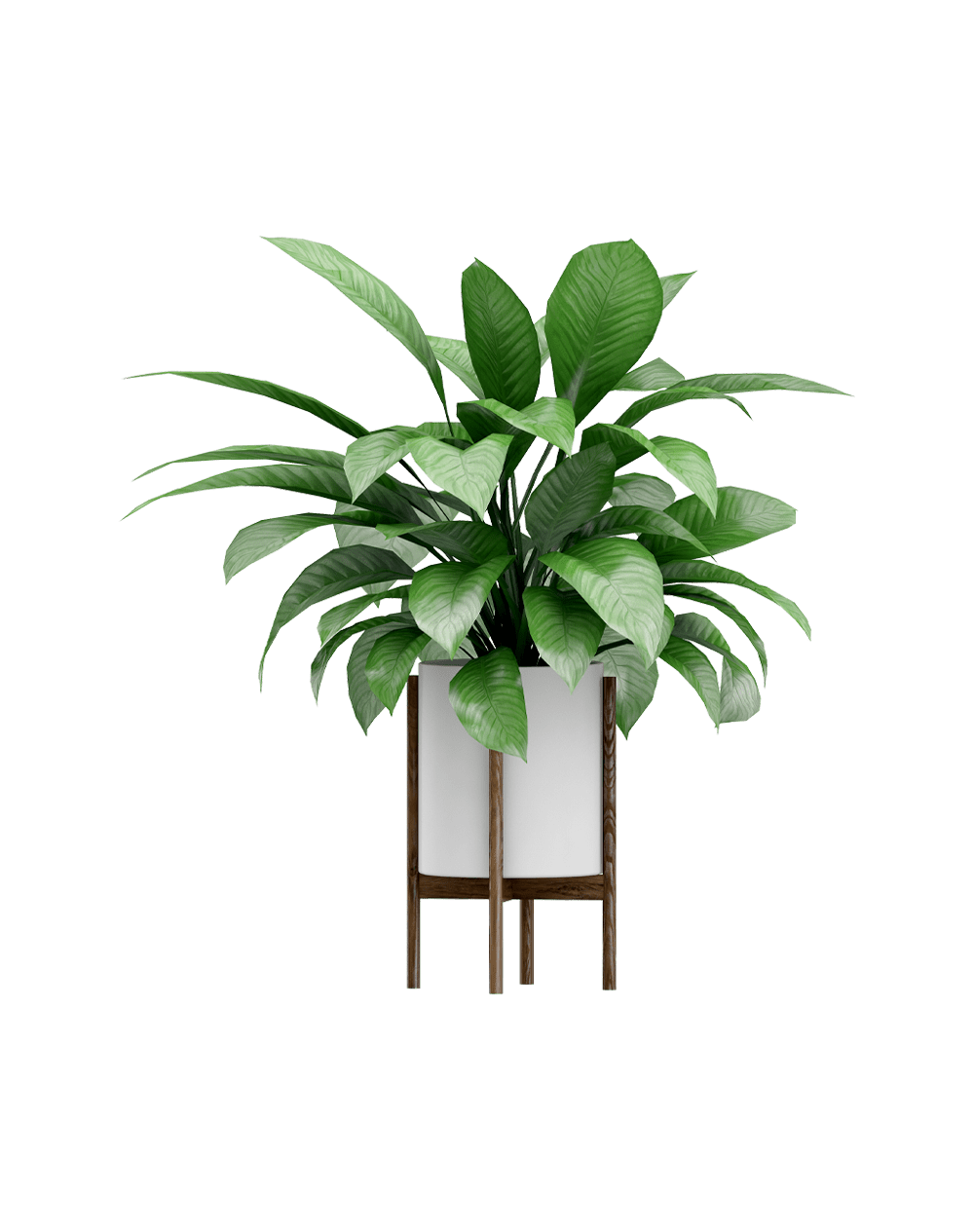Viksberg planter - Image 4